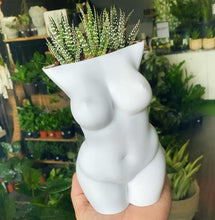 Load image into Gallery viewer, Blooming Planter