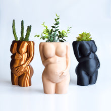 Load image into Gallery viewer, Fertility Planter