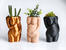Load image into Gallery viewer, Fertility Planter