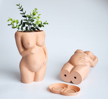 Load image into Gallery viewer, Fertility Planter