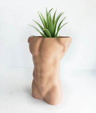 Load image into Gallery viewer, Male Body Planters
