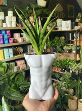 Load image into Gallery viewer, Male Body Planters
